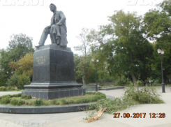 Памятник Чехова зарос сорняками и мусором в Таганроге