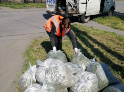 Отчёт МКУ «Благоустройство» по покосу травы в Таганроге