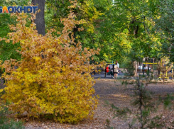 31 октября — Луков день. Что нужно сделать таганрожцам  для здоровья и удачи