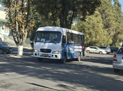 Села батарейка: таганрожцы не дождались стабильного автобуса № 6
