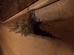 Дождями в Таганроге смыло свежеуложенный асфальт