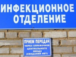 Три жителя Таганрога попали в инфекционное отделение, отравившись грибами