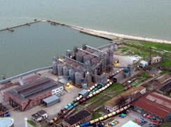 У Таганрогского зернового терминала новый собственник 