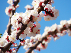 Погода в  выходные дни в Таганроге будет теплой