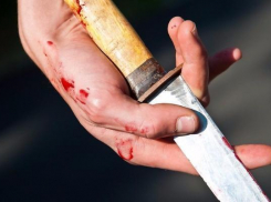 Селянка в пьяном угаре порезала сожителя в Неклиновском районе