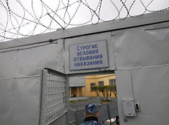 Скандальный бизнесмен, разоривший казну Таганрога получил шесть лет колонии  строгого режима