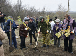 Ученики лицея №28 посадили дубы в память бригадам и морским училищам в хуторе Грунтовский