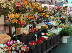 Из-за фестиваля «Еда. Улица. Цветы» перекроют улицы в Таганроге