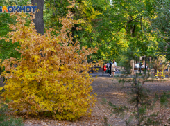 На выходных, если повезет, в Таганроге потеплеет