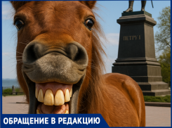 «Укуси меня, если сможешь»: как конный центр из Таганрога избегает ответственности