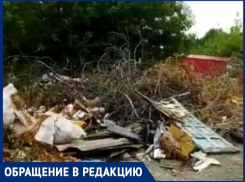 За домом престарелых в Таганроге образовалась огромная свалка