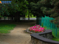 Выходные дни в ПКиО им. М. Горького: будет весело!