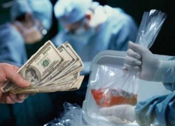 Осудили таганрожцев, попытавшихся продать знакомого на органы
