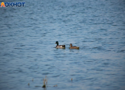 Таганрог: прогноз погоды на выходные дни 22 и 23 июля