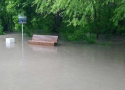 Роща "Дубки" после ливня на некоторое время превратилась в Венецию 