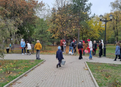 Очередная акция древонасаждения прошла в Таганроге