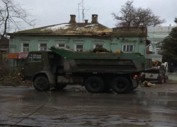 "Сейчас дом жилой развалит": после публикации "Блокнот" в Таганроге спилили старый тополь