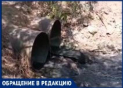 Таганрогский залив: кто-то ещё хочет искупаться?