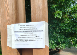 Обработка рощи Дубки от клещей: что нужно знать таганрожцам