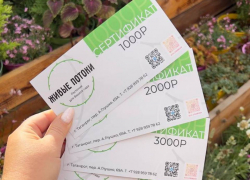 День учителя: цветочный подарок на долгие годы