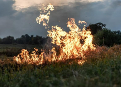 В Таганроге и Ростовской области ожидается чрезвычайная пожароопасность