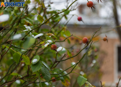 Таганрог: прогноз погоды с 27 ноября по 1 декабря