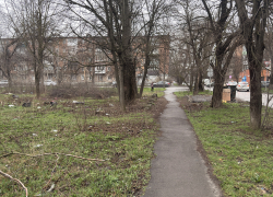 «Здесь не наводили порядок несколько лет»: таганрожцы просят убрать заброшенный участок 