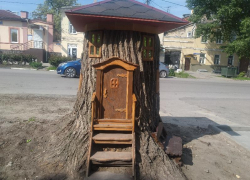 В Таганроге на месте срубленного дерева сделали арт-объект