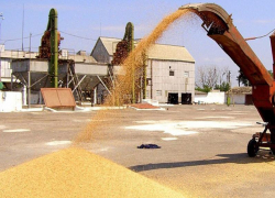  В соседнем с Таганрогом районе возбуждено уголовное дело против сотрудницы элеватора