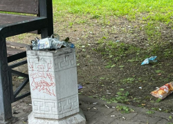 "Стыдно за любимый город": центральный сквер Таганрога превращается в свалку 