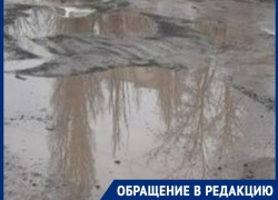 Дети выходят прямо на проезжую часть из-за отсутствия тротуаров и пешеходных переходов 