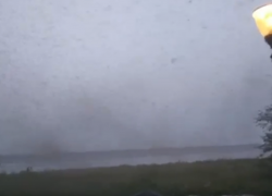 Очередное лето в Таганроге проходит в компании хирономид