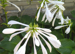 Таганрог: прогноз погоды на рабочую неделю с 11 по 15 сентября 