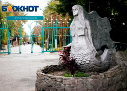 Жительница Пермского края пошла на мошенничество, чтобы съездить в Таганрог