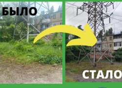 Административная инспекция зафиксировала нескошенную траву в Таганроге