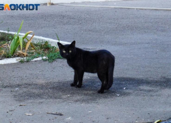 Для таганрожцев 11 января — день особый, «страшный»