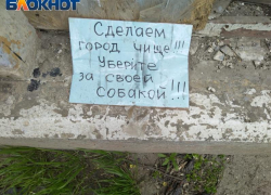 «Сделаем Таганрог чище: уберите за своей собакой!»