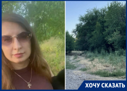 В Таганроге срубят 19 деревьев для строительства котельной в Военном городке