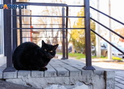Какой будет погода на этой рабочей неделе