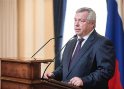 Губернатор Ростовской области за год заработал 8 млн рублей