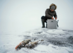 Таганрогские спасатели извлекли тело рыбака из реки