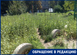 Трава и клещи вместо детской площадки в Таганроге