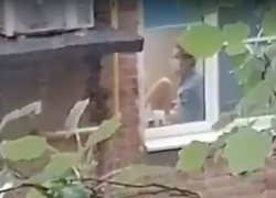 «УЗИ с сюрпризом» ожидало пациенток в одной из клиник Таганрога