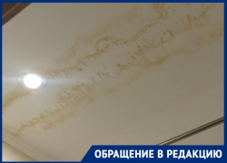 "Вода течёт прямо из лампочки": в доме на ул. Сызранова уже 8 лет протекает крыша 