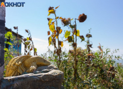 Таганрог: прогноз погоды на рабочую неделю с 4 по 8 сентября