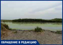 Рыболов Таганрога бьет тревогу, беспокоясь о Миусе