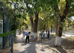 В Таганроге начинается месячник чистоты, жителей призывают присоединиться