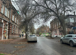 Рухнет и кого-то похоронит: опасная ветка цепляется за фуры в Таганроге