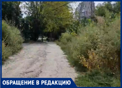 По кушерям да буеракам: таганроженка показала экстремальную дорогу к школе № 38