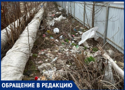 Горы мусора образовались за закрытым бассейном "Дельфин" 
